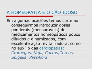 A HOMEOPATIA E O CÃO IDOSO
Em algumas ocasiões temos sorte ao
conseguirmos introduzir doses
ponderais (mensuráveis) de
medicamentos homeopáticos pouco
diluídos e dinamizados, com
excelente ação revitalizadora, como
no auxílio das cardiopatias:
Crataegus, Naja, Cactus,Cereus,
Spigelia, Passiflora
 