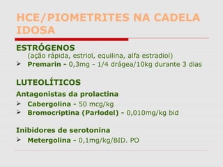 HCE/PIOMETRITES NA CADELA
IDOSA
ESTRÓGENOS
(ação rápida, estriol, equilina, alfa estradiol)
 Premarin - 0,3mg - 1/4 drágea/10kg durante 3 dias
LUTEOLÍTICOS
Antagonistas da prolactina
 Cabergolina - 50 mcg/kg
 Bromocriptina (Parlodel) - 0,010mg/kg bid
Inibidores de serotonina
 Metergolina - 0,1mg/kg/BID. PO
 