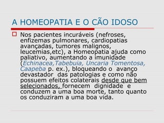 A HOMEOPATIA E O CÃO IDOSO
 Nos pacientes incuráveis (nefroses,
enfizemas pulmonares, cardiopatias
avançadas, tumores malignos,
leucemias,etc), a Homeopatia ajuda como
paliativo, aumentando a imunidade
(Echinacea,Tabebuia, Uncaria Tomentosa,
Caapeba p. ex.), bloqueando o avanço
devastador das patologias e como não
possuem efeitos colaterais desde que bem
selecionados, fornecem dignidade e
conduzem a uma boa morte, tanto quanto
os conduziram a uma boa vida.
 