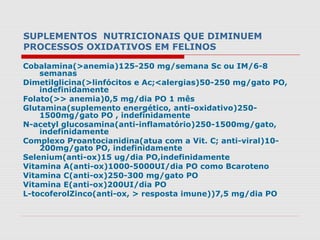 SUPLEMENTOS NUTRICIONAIS QUE DIMINUEM
PROCESSOS OXIDATIVOS EM FELINOS
Cobalamina(>anemia)125-250 mg/semana Sc ou IM/6-8
semanas
Dimetilglicina(>linfócitos e Ac;<alergias)50-250 mg/gato PO,
indefinidamente
Folato(>> anemia)0,5 mg/dia PO 1 mês
Glutamina(suplemento energético, anti-oxidativo)250-
1500mg/gato PO , indefinidamente
N-acetyl glucosamina(anti-inflamatório)250-1500mg/gato,
indefinidamente
Complexo Proantocianidina(atua com a Vit. C; anti-viral)10-
200mg/gato PO, indefinidamente
Selenium(anti-ox)15 ug/dia PO,indefinidamente
Vitamina A(anti-ox)1000-5000UI/dia PO como Bcaroteno
Vitamina C(anti-ox)250-300 mg/gato PO
Vitamina E(anti-ox)200UI/dia PO
L-tocoferolZinco(anti-ox, > resposta imune))7,5 mg/dia PO
 