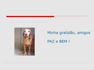 Minha gratidão, amigos
PAZ e BEM !
 