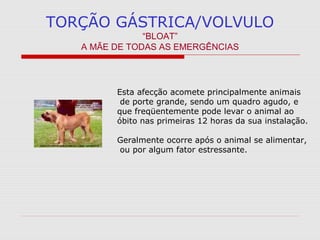 TORÇÃO GÁSTRICA/VOLVULO
“BLOAT”
A MÃE DE TODAS AS EMERGÊNCIAS
Esta afecção acomete principalmente animais
de porte grande, sendo um quadro agudo, e
que freqüentemente pode levar o animal ao
óbito nas primeiras 12 horas da sua instalação.
Geralmente ocorre após o animal se alimentar,
ou por algum fator estressante.
 