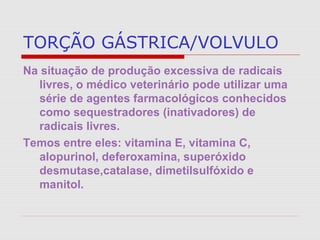 TORÇÃO GÁSTRICA/VOLVULO
Na situação de produção excessiva de radicais
livres, o médico veterinário pode utilizar uma
série de agentes farmacológicos conhecidos
como sequestradores (inativadores) de
radicais livres.
Temos entre eles: vitamina E, vitamina C,
alopurinol, deferoxamina, superóxido
desmutase,catalase, dimetilsulfóxido e
manitol.
 