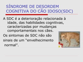 SÍNDROME DE DESORDEM
COGNITIVA DO CÃO IDOSO(SDC)
A SDC é a deterioração relacionada à
idade, das habilidades cognitivas,
caracterizadas por mudanças
comportamentais nos cães.
Os sintomas de SDC não são
sinais de um “envelhecimento
normal”.
 