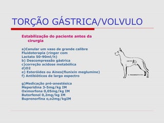 TORÇÃO GÁSTRICA/VOLVULO
Estabilização do paciente antes da
cirurgia
a)Canular um vaso de grande calibre
Fluidoterapia (ringer com
Lactato 50-90ml/h)
b) Descompressão gástrica
c)correção acidose metabólica
d)O2
e) Esteróides ou Aines(flunixin meglumine)
f) Antibióticos de largo espectro
g)Medicação pré-anestésica
Meperidina 3-5mg/kg IM
Oximorfona 0,05mg/kg IM
Butorfenol 0,2mg/kg IM
Buprenorfina o,o2mg/kgIM
 
