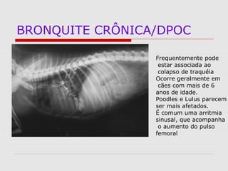 BRONQUITE CRÔNICA/DPOC
Frequentemente pode
estar associada ao
colapso de traquéia
Ocorre geralmente em
cães com mais de 6
anos de idade.
Poodles e Lulus parecem
ser mais afetados.
É comum uma arritmia
sinusal, que acompanha
o aumento do pulso
femoral
 