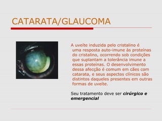 CATARATA/GLAUCOMA
A uveíte induzida pelo cristalino é
uma resposta auto-imune às proteínas
do cristalino, ocorrendo sob condições
que suplantam a tolerância imune a
essas proteínas. O desenvolvimento
dessa afecção é comum em cães com
catarata, e seus aspectos clínicos são
distintos daqueles presentes em outras
formas de uveíte.
Seu tratamento deve ser cirúrgico e
emergencial
 