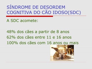SÍNDROME DE DESORDEM
COGNITIVA DO CÃO IDOSO(SDC)
A SDC acomete:
48% dos cães a partir de 8 anos
62% dos cães entre 11 e 16 anos
100% dos cães com 16 anos ou mais
 