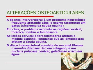 ALTERAÇÕES OSTEOARTICULARES
A doença intervertebral é um problema neurológico
frequente afetando cães, e ocorre raramente em
gatos (síndrome da cauda equina)
Em cães, o problema acomete as regiões cervical,
torácica, lombar e lombosacra.
As lesões cervical e toracolombares afetam a
medula espinhal, enquanto que as lombosacras
afetam a cauda equina.
O disco intervertebral consiste de um anel fibroso,
o annulus fibrosus rico em colágeno, e um
nucleus pulposis, central, gelatinoso e rico em
água.
 