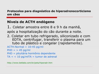 Protocolos para diagnóstico de hiperadrenocorticismo
em cães
Níveis de ACTH endógeno
1. Coletar amostra entre 8 e 9 h da manhã,
após a hospitalização do cão durante a noite.
2. Coletar em tubo refrigerado, siliconizado e com
EDTA, centrifugar, transferir o plasma para um
tubo de plástico e congelar (rapidamente).
ACTH:Normal = 10-45 pg/ml
PHD = > 45 pg/ml
PHD = pituitária hormônio dependente
TA = < 10 pg/mlTA = tumor de adrenal
http://www.betlabs.com/br/pets/hiperadr.htm
 