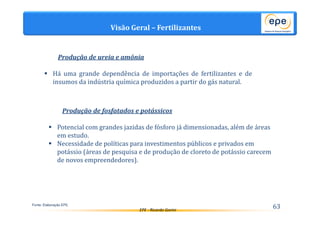 Visão Geral – Fertilizantes 
Produção de ureia e amônia 
 Há uma grande dependência de importações de fertilizantes e de 
insumos da indústria química produzidos a partir do gás natural. 
Produção de fosfatados e potássicos 
 Potencial com grandes jazidas de fósforo já dimensionadas, além de áreas 
 Necessidade de políticas para investimentos públicos e privados em 
potássio (áreas de pesquisa e de produção de cloreto de potássio carecem 
de novos empreendedores). 
EPE - Ricardo Gorini 63 
em estudo. 
Fonte: Elaboração EPE. 
 