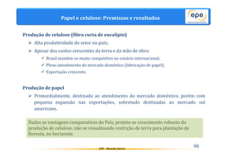 Papel e celulose: Premissas e resultados 
Produção de celulose (fibra curta de eucalipto) 
 Alta produtividade do setor no país; 
 Apesar dos custos crescentes da terra e da mão de obra: 
 Brasil mantém-se muito competitivo no cenário internacional; 
 Pleno atendimento do mercado doméstico (fabricação de papel); 
 Exportação crescente. 
EPE - Ricardo Gorini 98 
Produção de papel 
 Primordialmente, destinada ao atendimento do mercado doméstico, porém com 
pequena expansão nas exportações, sobretudo destinadas ao mercado sul 
americano. 
Dadas as vantagens comparativas do País, projeta-se crescimento robusto da 
produção de celulose, não se visualizando restrição de terra para plantação de 
floresta, no horizonte. 
 