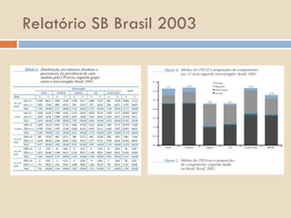 Relatório SB Brasil 2003 