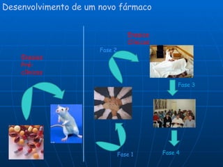 Desenvolvimento de um novo fármaco Ensaios Pré- clínicos  Fase 3 Fase 2  Fase   1   Fase 4 Ensaios Clínicos 