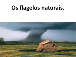 Os flagelos naturais.
 