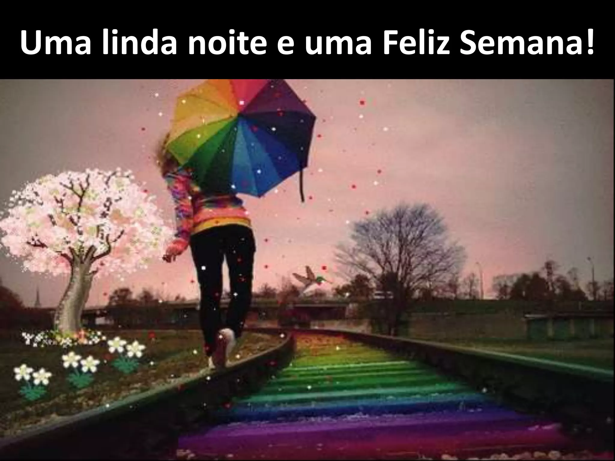 Uma linda noite e uma Feliz Semana!
 