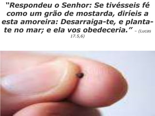 “Respondeu o Senhor: Se tivésseis fé
como um grão de mostarda, diríeis a
esta amoreira: Desarraiga-te, e planta-
te no mar; e ela vos obedeceria.” – (Lucas
17.5,6)
 