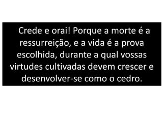 Crede e orai! Porque a morte é a
ressurreição, e a vida é a prova
escolhida, durante a qual vossas
virtudes cultivadas devem crescer e
desenvolver-se como o cedro.
 