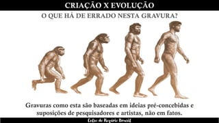 CRIAÇÃO X EVOLUÇÃO
O QUE HÁ DE ERRADO NESTA GRAVURA?
Gravuras como esta são baseadas em ideias pré-concebidas e
suposições de pesquisadores e artistas, não em fatos.
Celso do Rozário Brasil
 