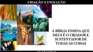 CRIAÇÃO X EVOLUÇÃO
A BÍBLIA ENSINA QUE
DEUS É O CRIADOR E
SUSTENTADOR DE
TODAS AS COISAS
 