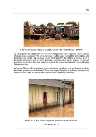 133
Foto V.2.2.4: Casas a beira do Igarapé Altamira. Foto: Mirella Poccia - 05/2009
Em vários pontos da cidade também ocorrem inundações das ruas no período chuvoso devido
à falta de obras básicas de infra-estrutura nestas regiões. Estas inundações, associadas à falta
de saneamento básico, - os sanitários são no estilo “casinha”, de madeira, e ficam de 2 a 4 m
das casas, construídos com um cano que joga os dejetos próximos dos poços e no igarapé,
ocasionam entre outras doenças, o aparecimento de caramujos, hospedeiros intermediários da
Esquistossomose.
No Igarapé Altamira não há coleta de lixo: a maioria dos moradores joga seu lixo nos arredores
das casas, ou seja, no próprio igarapé. Toda essa sujeira deságua no rio Xingu, principalmente
no período de chuvas, em que as águas levam o que fica debaixo das casas.
Foto V.2.2.5: Vias urbanas alagadas. Igarapé Altamira. Maio 2009.
Foto: Mirella Poccia
 