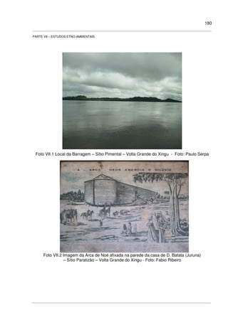 180
PARTE VII – ESTUDOS ETNO-AMBIENTAIS
Foto VII.1 Local da Barragem – Sítio Pimental – Volta Grande do Xingu - Foto: Paulo Serpa
Foto VII.2 Imagem da Arca de Noé afixada na parede da casa de D. Batata (Juruna)
– Sítio Paratizão – Volta Grande do Xingu - Foto: Fabio Ribeiro
 