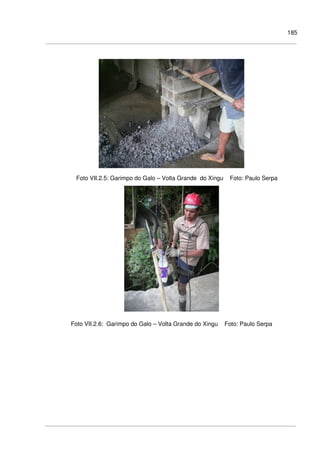 185
Foto VII.2.5: Garimpo do Galo – Volta Grande do Xingu Foto: Paulo Serpa
Foto VII.2.6: Garimpo do Galo – Volta Grande do Xingu Foto: Paulo Serpa
 