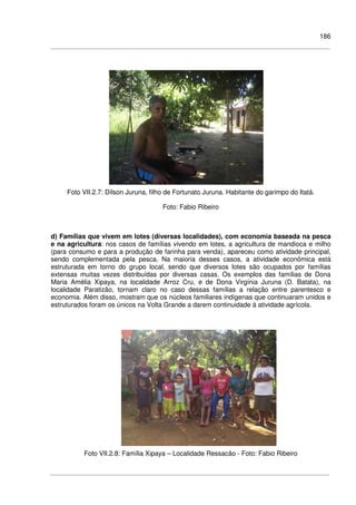 186
Foto VII.2.7: Dílson Juruna, filho de Fortunato Juruna. Habitante do garimpo do Itatá.
Foto: Fabio Ribeiro
d) Famílias que vivem em lotes (diversas localidades), com economia baseada na pesca
e na agricultura: nos casos de famílias vivendo em lotes, a agricultura de mandioca e milho
(para consumo e para a produção de farinha para venda), apareceu como atividade principal,
sendo complementada pela pesca. Na maioria desses casos, a atividade econômica está
estruturada em torno do grupo local, sendo que diversos lotes são ocupados por famílias
extensas muitas vezes distribuídas por diversas casas. Os exemplos das famílias de Dona
Maria Amélia Xipaya, na localidade Arroz Cru, e de Dona Virgínia Juruna (D. Batata), na
localidade Paratizão, tornam claro no caso dessas famílias a relação entre parentesco e
economia. Além disso, mostram que os núcleos familiares indígenas que continuaram unidos e
estruturados foram os únicos na Volta Grande a darem continuidade à atividade agrícola.
Foto VII.2.8: Família Xipaya – Localidade Ressacão - Foto: Fabio Ribeiro
 