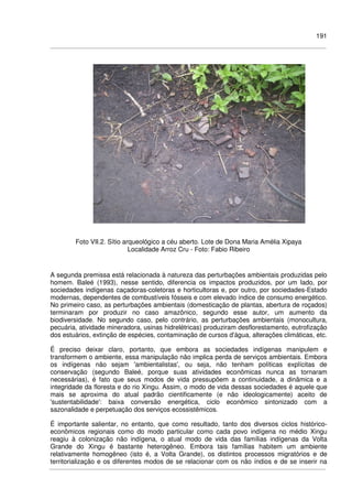 191
Foto VII.2. Sítio arqueológico a céu aberto. Lote de Dona Maria Amélia Xipaya
Localidade Arroz Cru - Foto: Fabio Ribeiro
A segunda premissa está relacionada à natureza das perturbações ambientais produzidas pelo
homem. Baleé (1993), nesse sentido, diferencia os impactos produzidos, por um lado, por
sociedades indígenas caçadoras-coletoras e horticultoras e, por outro, por sociedades-Estado
modernas, dependentes de combustíveis fósseis e com elevado índice de consumo energético.
No primeiro caso, as perturbações ambientais (domesticação de plantas, abertura de roçados)
terminaram por produzir no caso amazônico, segundo esse autor, um aumento da
biodiversidade. No segundo caso, pelo contrário, as perturbações ambientais (monocultura,
pecuária, atividade mineradora, usinas hidrelétricas) produziram desflorestamento, eutrofização
dos estuários, extinção de espécies, contaminação de cursos d'água, alterações climáticas, etc.
É preciso deixar claro, portanto, que embora as sociedades indígenas manipulem e
transformem o ambiente, essa manipulação não implica perda de serviços ambientais. Embora
os indígenas não sejam 'ambientalistas', ou seja, não tenham políticas explícitas de
conservação (segundo Baleé, porque suas atividades econômicas nunca as tornaram
necessárias), é fato que seus modos de vida pressupõem a continuidade, a dinâmica e a
integridade da floresta e do rio Xingu. Assim, o modo de vida dessas sociedades é aquele que
mais se aproxima do atual padrão cientificamente (e não ideologicamente) aceito de
'sustentabilidade': baixa conversão energética, ciclo econômico sintonizado com a
sazonalidade e perpetuação dos serviços ecossistêmicos.
É importante salientar, no entanto, que como resultado, tanto dos diversos ciclos histórico-
econômicos regionais como do modo particular como cada povo indígena no médio Xingu
reagiu à colonização não indígena, o atual modo de vida das famílias indígenas da Volta
Grande do Xingu é bastante heterogêneo. Embora tais famílias habitem um ambiente
relativamente homogêneo (isto é, a Volta Grande), os distintos processos migratórios e de
territorialização e os diferentes modos de se relacionar com os não índios e de se inserir na
 