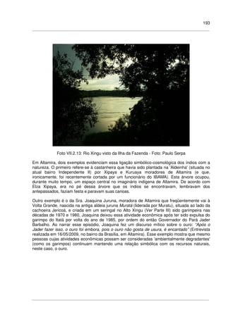 193
Foto VII.2.13: Rio Xingu visto da Ilha da Fazenda - Foto: Paulo Serpa
Em Altamira, dois exemplos evidenciam essa ligação simbólico-cosmológica dos índios com a
natureza. O primeiro refere-se à castanheira que havia sido plantada na 'Aldeinha' (situada no
atual bairro Independente II) por Xipaya e Kuruaya moradores de Altamira (e que,
ironicamente, foi recentemente cortada por um funcionário do IBAMA). Esta árvore ocupou,
durante muito tempo, um espaço central no imaginário indígena de Altamira. De acordo com
Elza Xipaya, era no pé dessa árvore que os índios se encontravam, lembravam dos
antepassados, faziam festa e paravam suas canoas.
Outro exemplo é o da Sra. Joaquina Juruna, moradora de Altamira que freqüentemente vai à
Volta Grande, nascida na antiga aldeia juruna Muratá (liderada por Muratu), situada ao lado da
cachoeira Jericoá, e criada em um seringal no Alto Xingu (Ver Parte III) sido garimpeira nas
décadas de 1970 e 1980, Joaquina deixou essa atividade econômica após ter sido expulsa do
garimpo do Itatá por volta do ano de 1985, por ordem do então Governador do Pará Jader
Barbalho. Ao narrar esse episódio, Joaquina fez um discurso mítico sobre o ouro: “Após o
Jader fazer isso, o ouro foi embora, pois o ouro não gosta de usura, é encantado” (Entrevista
realizada em 16/05/2009, no bairro da Brasília, em Altamira). Esse exemplo mostra que mesmo
pessoas cujas atividades econômicas possam ser consideradas 'ambientalmente degradantes'
(como os garimpos) continuam mantendo uma relação simbólica com os recursos naturais,
neste caso, o ouro.
 
