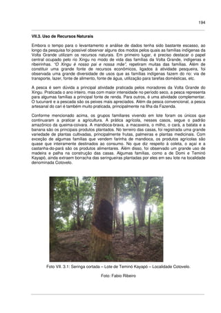 194
VII.3. Uso de Recursos Naturais
Embora o tempo para o levantamento e análise de dados tenha sido bastante escasso, ao
longo da pesquisa foi possível observar alguns dos modos pelos quais as famílias indígenas da
Volta Grande utilizam os recursos naturais. Em primeiro lugar, é preciso destacar o papel
central ocupado pelo rio Xingu no modo de vida das famílias da Volta Grande, indígenas e
ribeirinhas. “O Xingu é nosso pai e nossa mãe”, repetiram muitas das famílias. Além de
constituir uma grande fonte de recursos econômicos, ligados à atividade pesqueira, foi
observada uma grande diversidade de usos que as famílias indígenas fazem do rio: via de
transporte, lazer, fonte de alimento, fonte de água, utilização para tarefas domésticas, etc.
A pesca é sem dúvida a principal atividade praticada pelos moradores da Volta Grande do
Xingu. Praticada o ano inteiro, mas com maior intensidade no período seco, a pesca representa
para algumas famílias a principal fonte de renda. Para outros, é uma atividade complementar.
O tucunaré e a pescada são os peixes mais apreciados. Além da pesca convencional, a pesca
artesanal do cari é também muito praticada, principalmente na Ilha da Fazenda.
Conforme mencionado acima, os grupos familiares vivendo em lote foram os únicos que
continuaram a praticar a agricultura. A prática agrícola, nesses casos, segue o padrão
amazônico da queima-coivara. A mandioca-brava, a macaxeira, o milho, o cará, a batata e a
banana são os principais produtos plantados. No terreiro das casas, foi registrada uma grande
variedade de plantas cultivadas, principalmente frutas, palmeiras e plantas medicinais. Com
exceção de algumas famílias que vendem farinha de mandioca, os produtos agrícolas são
quase que inteiramente destinados ao consumo. No que diz respeito à coleta, o açaí e a
castanha-do-pará são os produtos alimentares. Além disso, foi observado um grande uso de
madeira e palha na construção das casas. Algumas famílias, como a de Domi e Teminó
Kayapó, ainda extraem borracha das seringueiras plantadas por eles em seu lote na localidade
denominada Cotovelo.
Foto VII. 3.1: Seringa cortada – Lote de Teminó Kayapó – Localidade Cotovelo.
Foto: Fabio Ribeiro
 