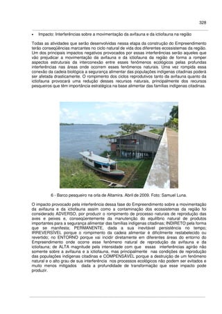 328
• Impacto: Interferências sobre a movimentação da avifauna e da ictiofauna na região
Todas as atividades que serão desenvolvidas nessa etapa da construção do Empreendimento
terão conseqüências marcantes no ciclo natural de vida dos diferentes ecossistemas da região.
Um dos principais impactos negativos provocados por essas interferências serão aqueles que
vão prejudicar a movimentação da avifauna e da ictiofauna da região de forma a romper
aspectos estruturais da interconexão entre esses fenômenos ecológicos pelas profundas
interferências nas áreas onde ocorrem esses fenômenos naturais. Uma vez rompida essa
conexão da cadeia biológica a segurança alimentar das populações indígenas citadinas poderá
ser afetada drasticamente. O rompimento dos ciclos reprodutivos tanto da avifauna quanto da
ictiofauna provocará uma redução desses recursos naturais, principalmente dos recursos
pesqueiros que têm importância estratégica na base alimentar das famílias indígenas citadinas.
6 - Barco pesqueiro na orla de Altamira. Abril de 2009. Foto: Samuel Luna.
O impacto provocado pela interferência dessa fase do Empreendimento sobre a movimentação
da avifauna e da ictiofauna assim como a contaminação dos ecossistemas da região foi
considerado ADVERSO, por produzir o rompimento de processo naturais de reprodução das
aves e peixes e, conseqüentemente da manutenção do equilíbrio natural de produtos
importantes para a segurança alimentar das famílias indígenas citadinas; INDIRETO pela forma
que se manifesta; PERMANENTE, dada a sua inevitável persistência no tempo;
IRREVERSÍVEL porque o rompimento da cadeia alimentar é dificilmente restabelecido ou
revertido; no ENTORNO porque vai incidir diretamente em diferentes áreas do entorno do
Empreendimento onde ocorre esse fenômeno natural de reprodução da avifauna e da
ictiofauna; de ALTA magnitude pela intensidade com que essas interferências agirão não
somente sobre a avifauna e a ictiofauna, mas principalmente nas condições de reprodução
das populações indígenas citadinas e COMPENSÁVEL porque a destruição de um fenômeno
natural e o alto grau de sua interferência nos processos ecológicos não podem ser evitados e
muito menos mitigados dada a profundidade de transformação que esse impacto pode
produzir.
 