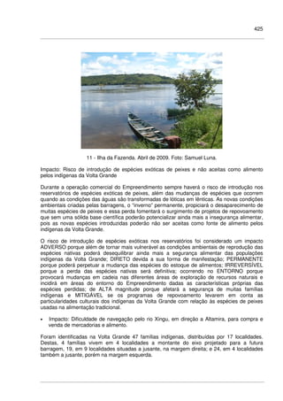 425
11 - Ilha da Fazenda. Abril de 2009. Foto: Samuel Luna.
Impacto: Risco de introdução de espécies exóticas de peixes e não aceitas como alimento
pelos indígenas da Volta Grande
Durante a operação comercial do Empreendimento sempre haverá o risco de introdução nos
reservatórios de espécies exóticas de peixes, além das mudanças de espécies que ocorrem
quando as condições das águas são transformadas de lóticas em lênticas. As novas condições
ambientais criadas pelas barragens, o “inverno” permanente, propiciará o desaparecimento de
muitas espécies de peixes e essa perda fomentará o surgimento de projetos de repovoamento
que sem uma sólida base científica poderão potencializar ainda mais a insegurança alimentar,
pois as novas espécies introduzidas poderão não ser aceitas como fonte de alimento pelos
indígenas da Volta Grande.
O risco de introdução de espécies exóticas nos reservatórios foi considerado um impacto
ADVERSO porque além de tornar mais vulnerável as condições ambientais de reprodução das
espécies nativas poderá desequilibrar ainda mais a segurança alimentar das populações
indígenas da Volta Grande; DIRETO devida a sua forma de manifestação; PERMANENTE
porque poderá perpetuar a mudança das espécies do estoque de alimentos; IRREVERSÍVEL
porque a perda das espécies nativas será definitiva; ocorrendo no ENTORNO porque
provocará mudanças em cadeia nas diferentes áreas de exploração de recursos naturais e
incidirá em áreas do entorno do Empreendimento dadas as características próprias das
espécies perdidas; de ALTA magnitude porque afetará a segurança de muitas famílias
indígenas e MITIGÁVEL se os programas de repovoamento levarem em conta as
particularidades culturais dos indígenas da Volta Grande com relação às espécies de peixes
usadas na alimentação tradicional.
• Impacto: Dificuldade de navegação pelo rio Xingu, em direção a Altamira, para compra e
venda de mercadorias e alimento.
Foram identificadas na Volta Grande 47 famílias indígenas, distribuídas por 17 localidades.
Destas, 4 famílias vivem em 4 localidades a montante do eixo projetado para a futura
barragem, 19, em 9 localidades situadas a jusante, na margem direita; e 24, em 4 localidades
também a jusante, porém na margem esquerda.
 