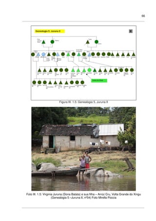 66
Figura III. 1.5: Genealogia 5, Juruna II
Foto III. 1.5: Virginia Juruna (Dona Batata) e sua filha – Arroz Cru, Volta Grande do Xingu
(Genealogia 5 –Juruna II, nº54) Foto Mirella Poccia
 