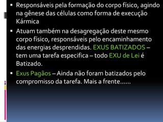  Responsáveis pela formação do corpo físico, agindo
  na gênese das células como forma de execução
  Kármica
 Atuam também na desagregação deste mesmo
  corpo físico, responsáveis pelo encaminhamento
  das energias desprendidas. EXUS BATIZADOS –
  tem uma tarefa especifica – todo EXU de Lei é
  Batizado.
 Exus Pagãos – Ainda não foram batizados pelo
  compromisso da tarefa. Mais a frente......
 