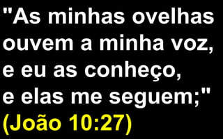 "As minhas ovelhas
ouvem a minha voz,
e eu as conheço,
e elas me seguem;"
(João 10:27)
 
