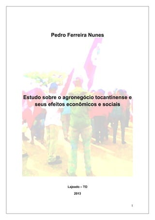 Pedro Ferreira Nunes

Estudo sobre o agronegócio tocantinense e
seus efeitos econômicos e sociais

Lajeado – TO
2013

1

 