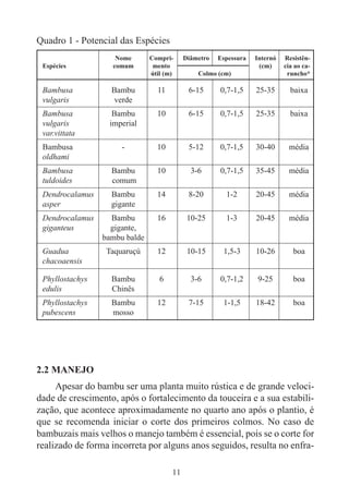 11
2.2 MANEJO
Apesar do bambu ser uma planta muito rústica e de grande veloci-
dade de crescimento, após o fortalecimento da touceira e a sua estabili-
zação, que acontece aproximadamente no quarto ano após o plantio, é
que se recomenda iniciar o corte dos primeiros colmos. No caso de
bambuzais mais velhos o manejo também é essencial, pois se o corte for
realizado de forma incorreta por alguns anos seguidos, resulta no enfra-
Nome Compri- Diâmetro Espessura Internó Resistên-
Espécies comum mento (cm) cia ao ca-
útil (m) Colmo (cm) runcho*
Bambusa Bambu 11 6-15 0,7-1,5 25-35 baixa
vulgaris verde
Bambusa Bambu 10 6-15 0,7-1,5 25-35 baixa
vulgaris imperial
var.vittata
Bambusa - 10 5-12 0,7-1,5 30-40 média
oldhami
Bambusa Bambu 10 3-6 0,7-1,5 35-45 média
tuldoides comum
Dendrocalamus Bambu 14 8-20 1-2 20-45 média
asper gigante
Dendrocalamus Bambu 16 10-25 1-3 20-45 média
giganteus gigante,
bambu balde
Guadua Taquaruçú 12 10-15 1,5-3 10-26 boa
chacoaensis
Phyllostachys Bambu 6 3-6 0,7-1,2 9-25 boa
edulis Chinês
Phyllostachys Bambu 12 7-15 1-1,5 18-42 boa
pubescens mosso
Quadro 1 - Potencial das Espécies
 