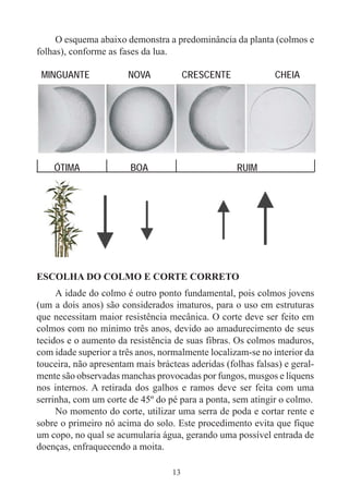 13
O esquema abaixo demonstra a predominância da planta (colmos e
folhas), conforme as fases da lua.
MINGUANTE NOVA CRESCENTE CHEIA
ÓTIMA BOA RUIM
ESCOLHA DO COLMO E CORTE CORRETO
A idade do colmo é outro ponto fundamental, pois colmos jovens
(um a dois anos) são considerados imaturos, para o uso em estruturas
que necessitam maior resistência mecânica. O corte deve ser feito em
colmos com no mínimo três anos, devido ao amadurecimento de seus
tecidos e o aumento da resistência de suas fibras. Os colmos maduros,
com idade superior a três anos, normalmente localizam-se no interior da
touceira, não apresentam mais brácteas aderidas (folhas falsas) e geral-
mente são observadas manchas provocadas por fungos, musgos e líquens
nos internos. A retirada dos galhos e ramos deve ser feita com uma
serrinha, com um corte de 45º do pé para a ponta, sem atingir o colmo.
No momento do corte, utilizar uma serra de poda e cortar rente e
sobre o primeiro nó acima do solo. Este procedimento evita que fique
um copo, no qual se acumularia água, gerando uma possível entrada de
doenças, enfraquecendo a moita.
 