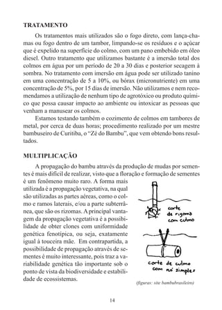 14
TRATAMENTO
Os tratamentos mais utilizados são o fogo direto, com lança-cha-
mas ou fogo dentro de um tambor, limpando-se os resíduos e o açúcar
que é expelido na superfície do colmo, com um pano embebido em óleo
diesel. Outro tratamento que utilizamos bastante é a imersão total dos
colmos em água por um período de 20 a 30 dias e posterior secagem à
sombra. No tratamento com imersão em água pode ser utilizado tanino
em uma concentração de 5 a 10%, ou bórax (micronutriente) em uma
concentração de 5%, por 15 dias de imersão. Não utilizamos e nem reco-
mendamos a utilização de nenhum tipo de agrotóxico ou produto quími-
co que possa causar impacto ao ambiente ou intoxicar as pessoas que
venham a manusear os colmos.
Estamos testando também o cozimento de colmos em tambores de
metal, por cerca de duas horas; procedimento realizado por um mestre
bambuseiro de Curitiba, o “Zé do Bambu”, que vem obtendo bons resul-
tados.
MULTIPLICAÇÃO
A propagação do bambu através da produção de mudas por semen-
tes é mais difícil de realizar, visto que a floração e formação de sementes
é um fenômeno muito raro. A forma mais
utilizada é a propagação vegetativa, na qual
são utilizadas as partes aéreas, como o col-
mo e ramos laterais, e/ou a parte subterrâ-
nea, que são os rizomas. Aprincipal vanta-
gem da propagação vegetativa é a possibi-
lidade de obter clones com uniformidade
genética fenotípica, ou seja, exatamente
igual à touceira mãe. Em contrapartida, a
possibilidade de propagação através de se-
mentes é muito interessante, pois traz a va-
riabilidade genética tão importante sob o
ponto de vista da biodiversidade e estabili-
dade de ecossistemas.
(figuras: site bambubrasileiro)
 