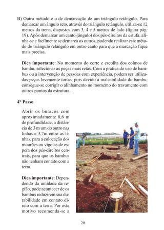 20
B) Outro método é o de demarcação de um triângulo retângulo. Para
demarcar um ângulo reto, através do triângulo retângulo, utiliza-se 12
metros da trena, dispostos com 3, 4 e 5 metros de lado (figura pág.
19). Após demarcar um canto (ângulo) dos pés-direitos da estufa, ali-
nha-se e facilmente se demarca os outros, podendo realizar este méto-
do do triângulo retângulo em outro canto para que a marcação fique
mais precisa.
Dica importante: No momento do corte e escolha dos colmos de
bambu, selecionar as peças mais retas. Com a prática do uso de bam-
bus ou a intervenção de pessoas com experiência, podem ser utiliza-
das peças levemente tortas, pois devido à maleabilidade do bambu,
consegue-se corrigir o alinhamento no momento do travamento com
outros pontos da estrutura.
4° Passo
Abrir os buracos com
aproximadamente 0,6 m
de profundidade, a distân-
cia de 3 m um do outro nas
linhas e 3,7m entre as li-
nhas, para a colocação dos
mourões ou vigotas de es-
pera dos pés-direitos cen-
trais, para que os bambus
não tenham contato com a
terra.
Dica importante: Depen-
dendo da umidade da re-
gião, pode acontecer de os
bambus reduzirem sua du-
rabilidade em contato di-
reto com a terra. Por este
motivo recomenda-se a
 