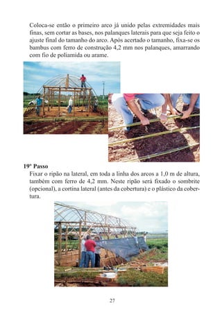 27
Coloca-se então o primeiro arco já unido pelas extremidades mais
finas, sem cortar as bases, nos palanques laterais para que seja feito o
ajuste final do tamanho do arco. Após acertado o tamanho, fixa-se os
bambus com ferro de construção 4,2 mm nos palanques, amarrando
com fio de poliamida ou arame.
19º Passo
Fixar o ripão na lateral, em toda a linha dos arcos a 1,0 m de altura,
também com ferro de 4,2 mm. Neste ripão será fixado o sombrite
(opcional), a cortina lateral (antes da cobertura) e o plástico da cober-
tura.
 