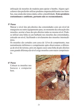 21
utilização de mourões de madeira para apoiar o bambu. Alguns agri-
cultores têm preferido utilizar produtos impermeabilizantes nos bam-
bus, mas ainda não temos dados sobre a durabilidade. Estes produtos
contaminam o ambiente, portanto não os recomendamos.
5° Passo
Marcar o nível dos pés-direitos das extremidades com um nível de
mangueira ou outro equipamento para, no momento da colocação dos
mourões, acertar a base dos pés-direitos todas no mesmo nível. Pode-
se utilizar uma linha ou um barbante nos mourões das extremidades,
esticado em nível, facilitando o nivelamento dos mourões intermedi-
ários.
Os mourões são cortados com cerca de 1,0 m de comprimento, mas
normalmente definimos o comprimento após observarmos a diferen-
ça de nível do terreno, pois em alguns casos uma linha de pés-direitos
com grande diferença de nível exige mourões com maior comprimen-
to.
6° Passo
Colocar os mourões nos
buracos e compactar
bem.
 