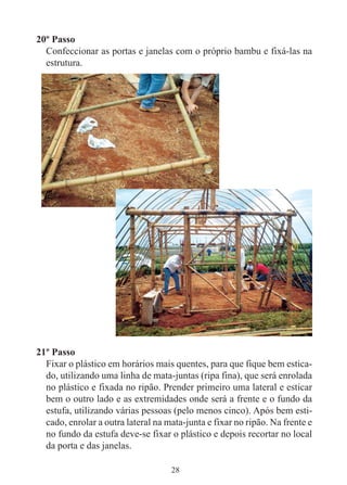 28
20º Passo
Confeccionar as portas e janelas com o próprio bambu e fixá-las na
estrutura.
21º Passo
Fixar o plástico em horários mais quentes, para que fique bem estica-
do, utilizando uma linha de mata-juntas (ripa fina), que será enrolada
no plástico e fixada no ripão. Prender primeiro uma lateral e esticar
bem o outro lado e as extremidades onde será a frente e o fundo da
estufa, utilizando várias pessoas (pelo menos cinco). Após bem esti-
cado, enrolar a outra lateral na mata-junta e fixar no ripão. Na frente e
no fundo da estufa deve-se fixar o plástico e depois recortar no local
da porta e das janelas.
 