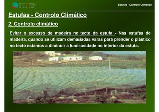 M i n i s t é r i o d a
A g r i c u l t u r a ,
do Desenvolvimento
Rural e das Pescas
DRAALG
Direcção Regional
de Agricultura
do Algarve
Estufas - Controlo Climático
M i n i s t é r i o d a
A g r i c u l t u r a ,
do Desenvolvimento
Rural e das Pescas
DRAALG
Direcção Regional
de Agricultura
do Algarve
Estufas - Controlo Climático
Estufas - Controlo Climático
2. Controlo climático
Evitar o excesso de madeira no tecto da estufaEvitar o excesso de madeira no tecto da estufa - Nas estufas de
madeira, quando se utilizam demasiadas varas para prender o plástico
no tecto estamos a diminuir a luminosidade no interior da estufa.
 