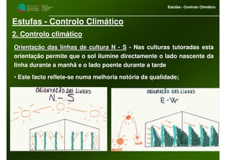 M i n i s t é r i o d a
A g r i c u l t u r a ,
do Desenvolvimento
Rural e das Pescas
DRAALG
Direcção Regional
de Agricultura
do Algarve
Estufas - Controlo Climático
M i n i s t é r i o d a
A g r i c u l t u r a ,
do Desenvolvimento
Rural e das Pescas
DRAALG
Direcção Regional
de Agricultura
do Algarve
Estufas - Controlo Climático
Estufas - Controlo Climático
2. Controlo climático
Orientação das linhas de cultura NOrientação das linhas de cultura N -- SS - Nas culturas tutoradas esta
orientação permite que o sol ilumine directamente o lado nascente da
linha durante a manhã e o lado poente durante a tarde
• Este facto reflete-se numa melhoria notória da qualidade;
 