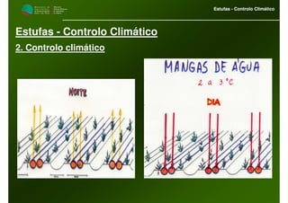 M i n i s t é r i o d a
A g r i c u l t u r a ,
do Desenvolvimento
Rural e das Pescas
DRAALG
Direcção Regional
de Agricultura
do Algarve
Estufas - Controlo Climático
M i n i s t é r i o d a
A g r i c u l t u r a ,
do Desenvolvimento
Rural e das Pescas
DRAALG
Direcção Regional
de Agricultura
do Algarve
Estufas - Controlo Climático
Estufas - Controlo Climático
2. Controlo climático
 
