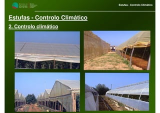 M i n i s t é r i o d a
A g r i c u l t u r a ,
do Desenvolvimento
Rural e das Pescas
DRAALG
Direcção Regional
de Agricultura
do Algarve
Estufas - Controlo Climático
M i n i s t é r i o d a
A g r i c u l t u r a ,
do Desenvolvimento
Rural e das Pescas
DRAALG
Direcção Regional
de Agricultura
do Algarve
Estufas - Controlo Climático
Estufas - Controlo Climático
2. Controlo climático
 