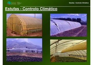 M i n i s t é r i o d a
A g r i c u l t u r a ,
do Desenvolvimento
Rural e das Pescas
DRAALG
Direcção Regional
de Agricultura
do Algarve
Estufas - Controlo Climático
Estufas - Controlo Climático
 