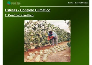 M i n i s t é r i o d a
A g r i c u l t u r a ,
do Desenvolvimento
Rural e das Pescas
DRAALG
Direcção Regional
de Agricultura
do Algarve
Estufas - Controlo Climático
M i n i s t é r i o d a
A g r i c u l t u r a ,
do Desenvolvimento
Rural e das Pescas
DRAALG
Direcção Regional
de Agricultura
do Algarve
Estufas - Controlo Climático
Estufas - Controlo Climático
2. Controlo climático
 
